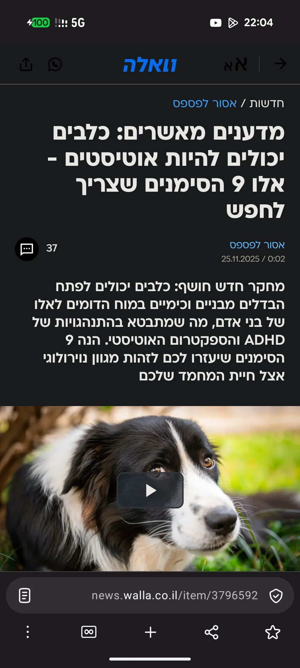 1000090137.webp