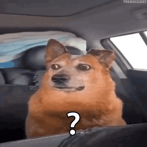 1000111920.gif