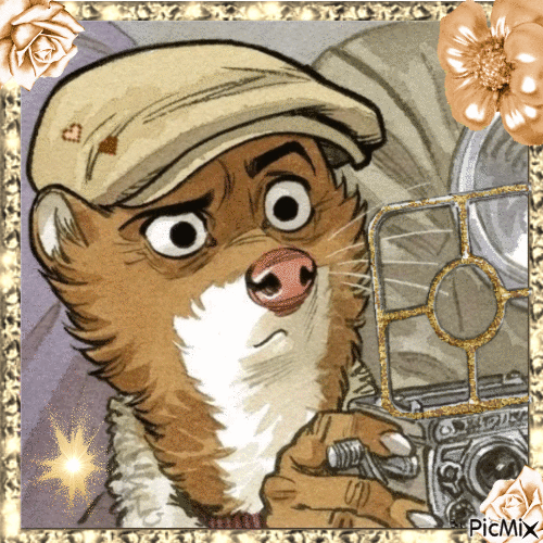 13659397_3efe8.gif