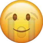 1000077551.webp