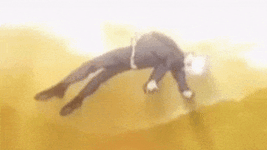 image (4).gif
